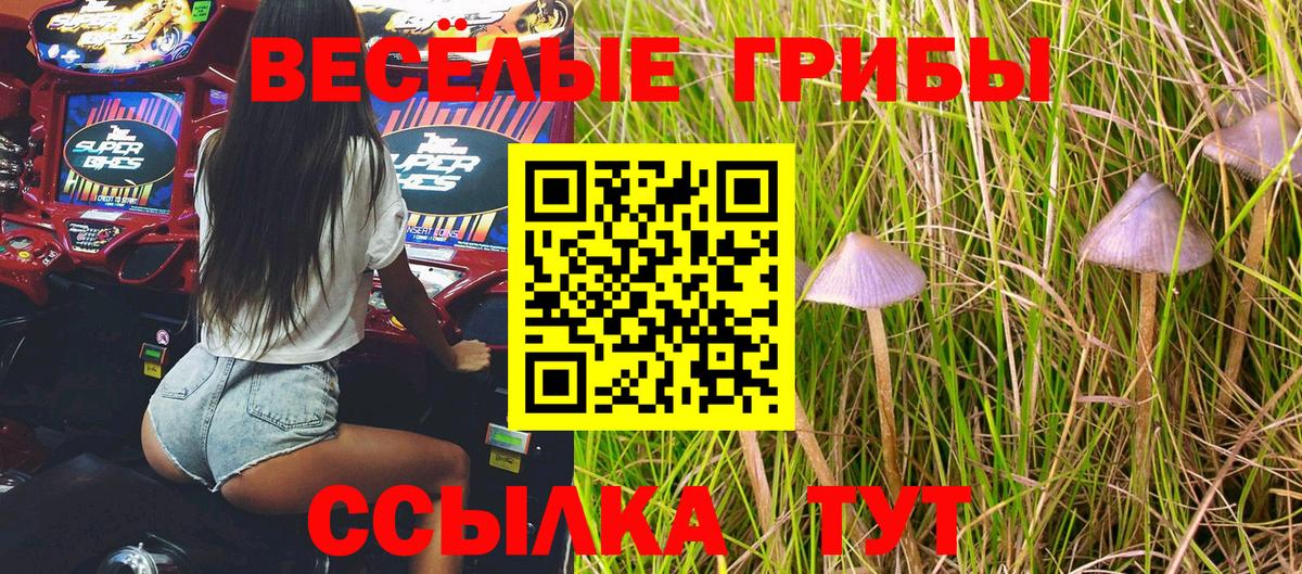 Сертолово  Галлюциногенные грибы Magic Shrooms  Вход с VPN 