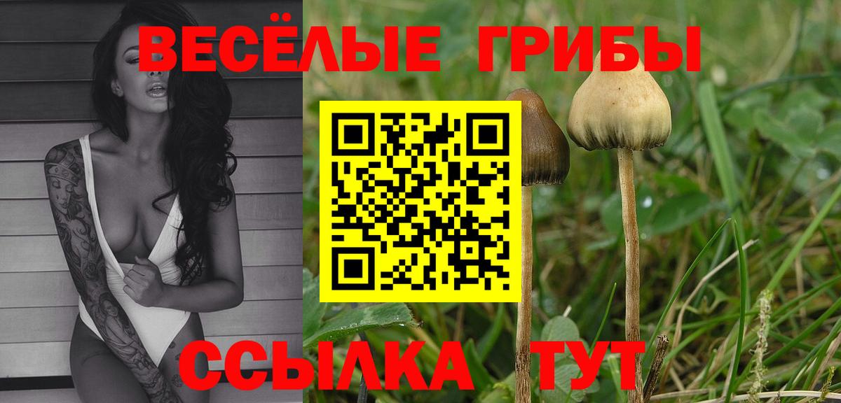 Псилоцибиновые грибы Magic Shrooms Сертолово